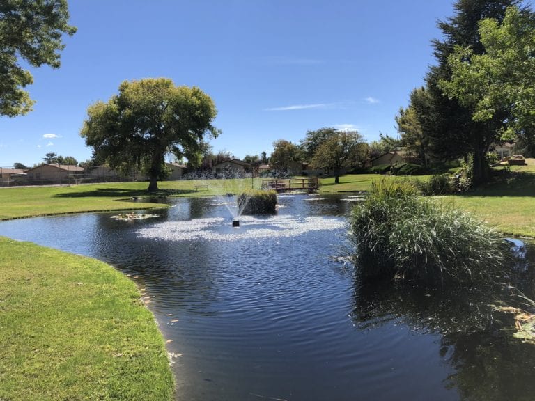 Park